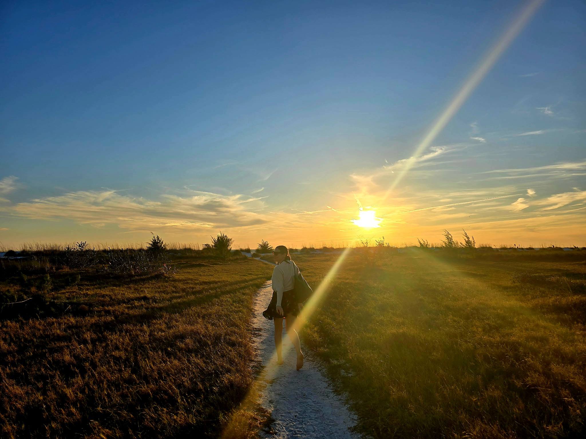 A quiet path through beach grasses in the setting sun.
